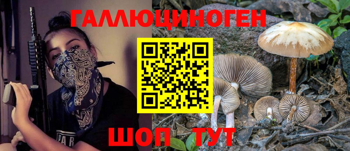 Галлюциногенные грибы Psilocybe  Вход с VPN  Нефтеюганск 