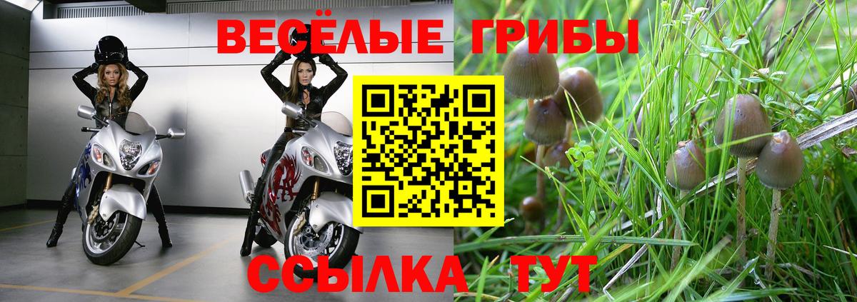 Галлюциногенные грибы Cubensis Нефтеюганск
